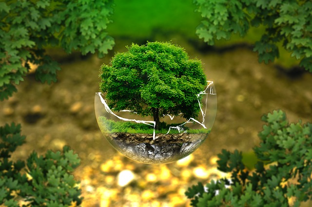Environmental Impact Assessment (EIA)